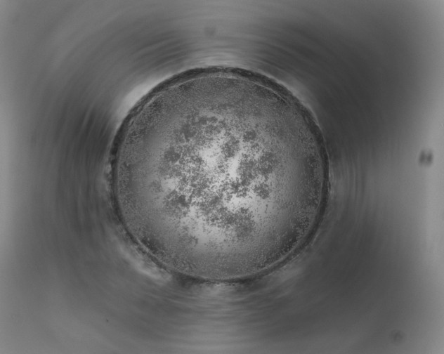 X0000111940879200907271410