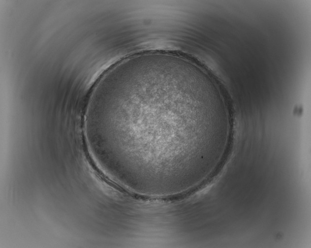 X0000111940881200907271410