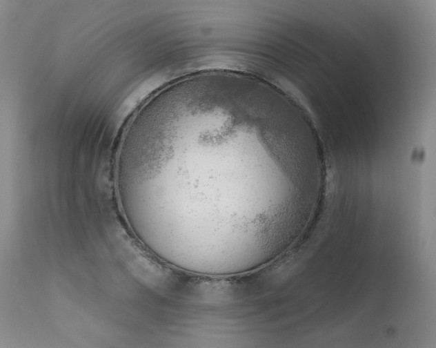 X0000111940882200907271410