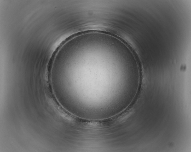 X0000111940883200907271410