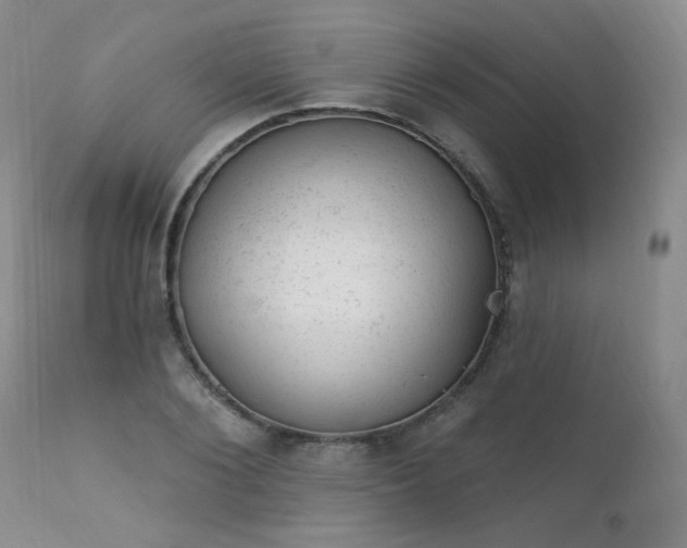 X0000111940884200907271410