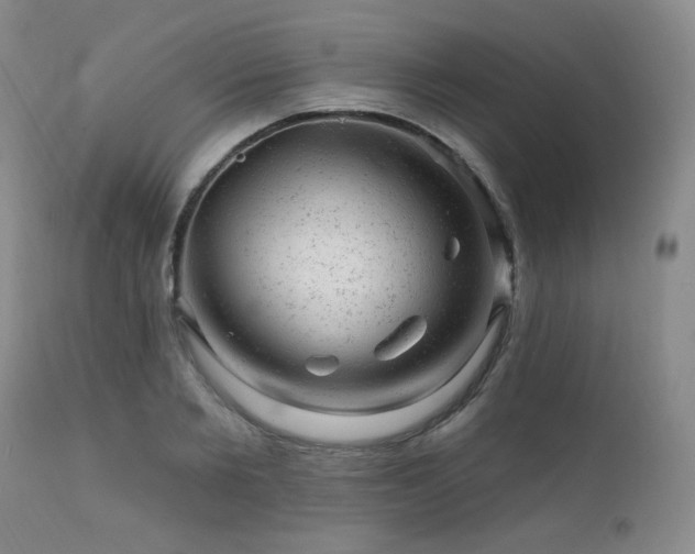 X0000111940885200907271410