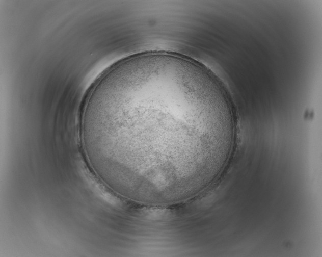 X0000111940886200907271410