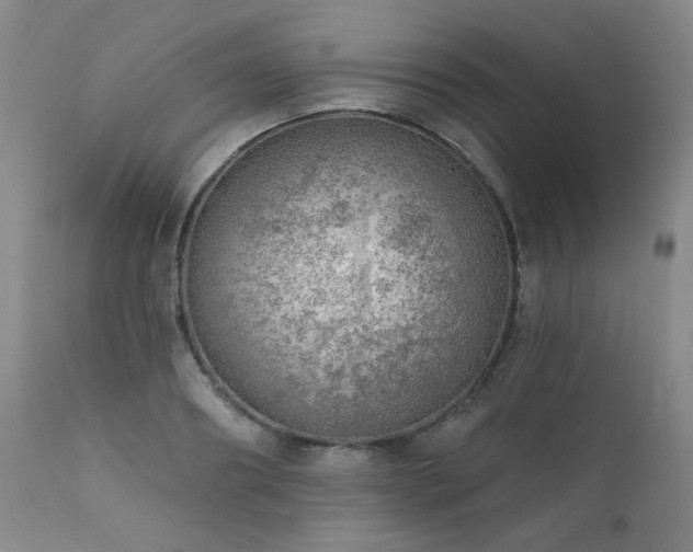 X0000111940890200907271410