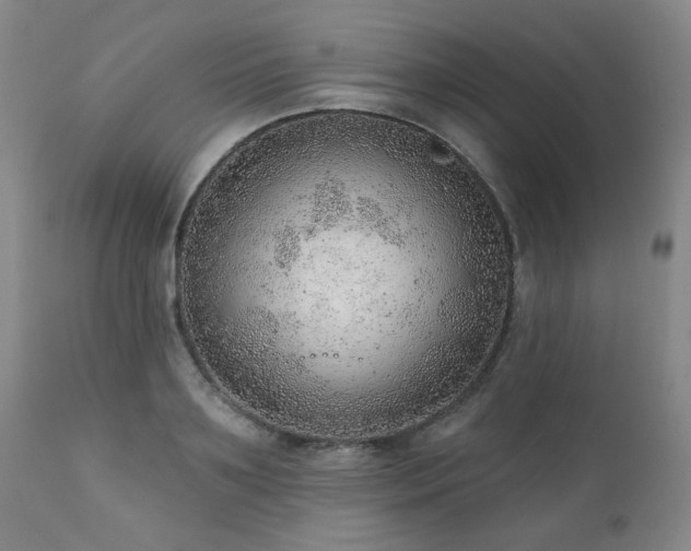 X0000111940891200907271410