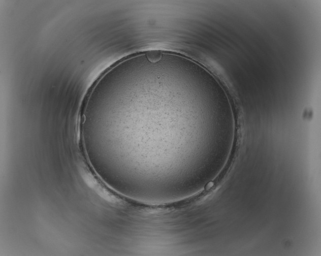 X0000111940892200907271410