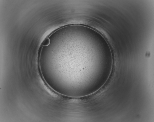 X0000111940894200907271410