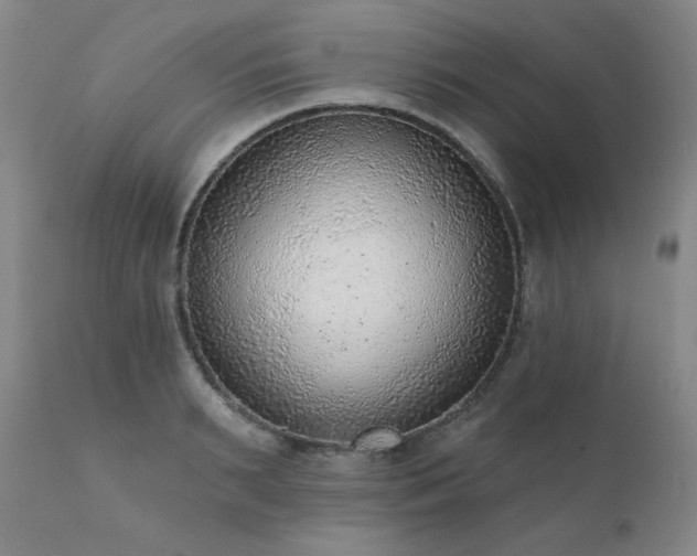 X0000111940895200907271410