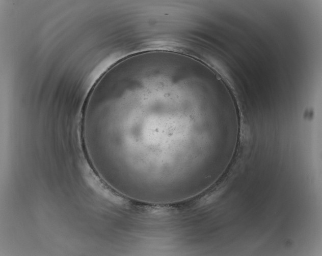 X0000111940899200907271410