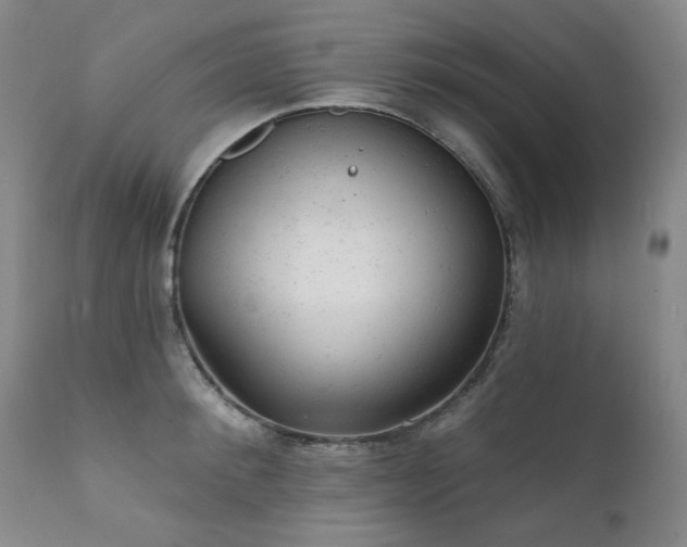 X0000111940900200907271410