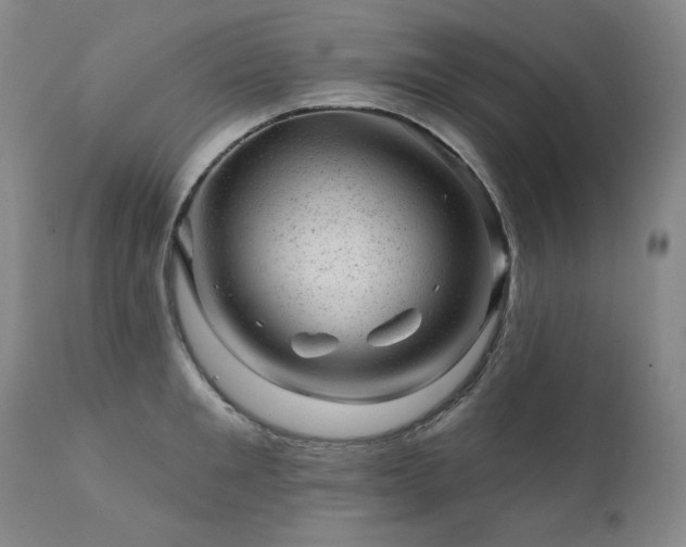 X0000111940901200907271410