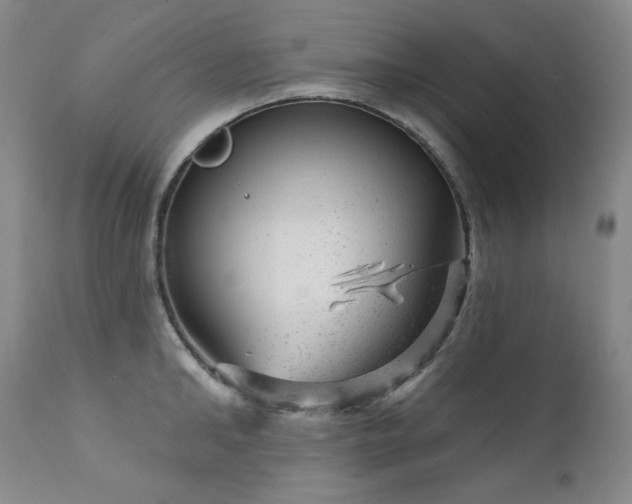 X0000111940902200907271410