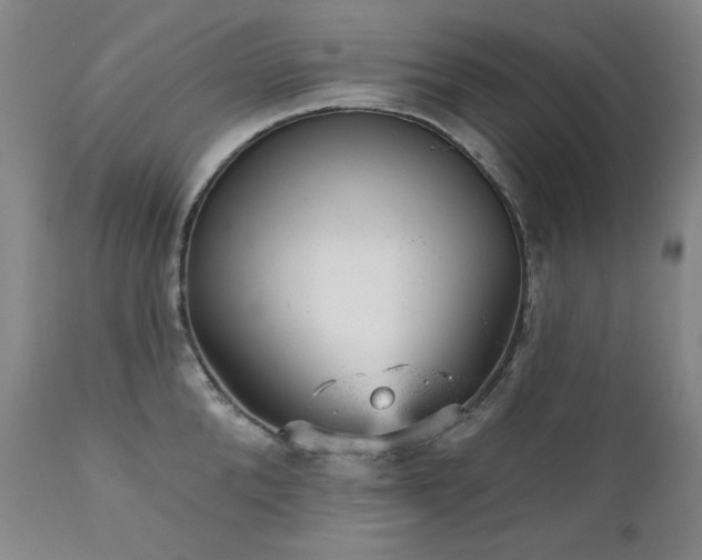 X0000111940904200907271410