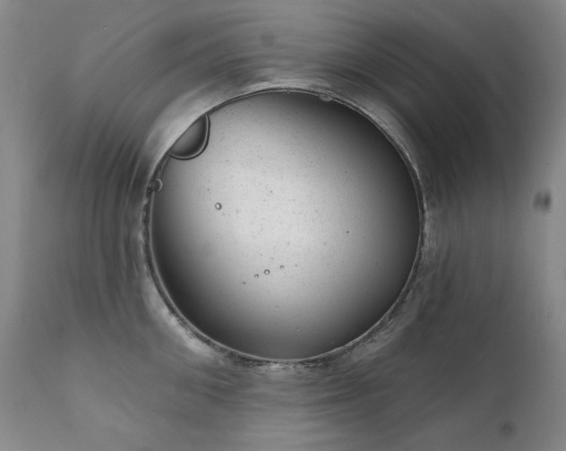 X0000111940906200907271410