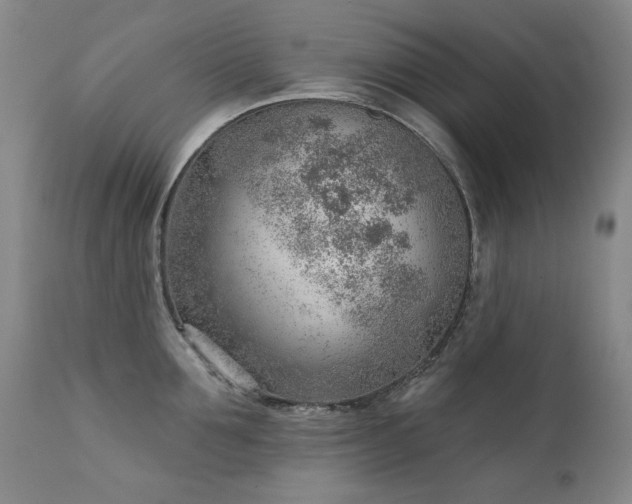 X0000111940907200907271410