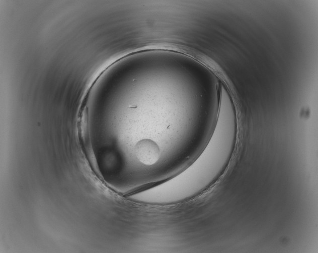 X0000111940908200907271410