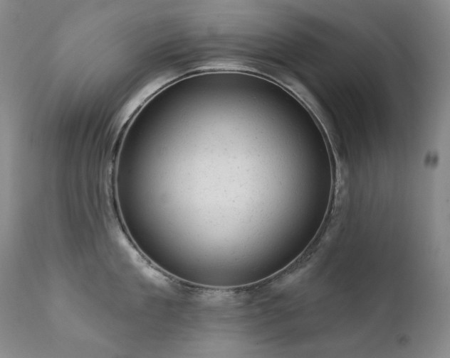 X0000111940909200907271410