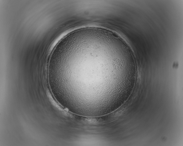 X0000111940911200907271410