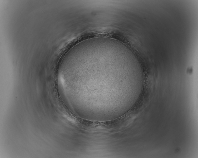 X0000111940913200907271409