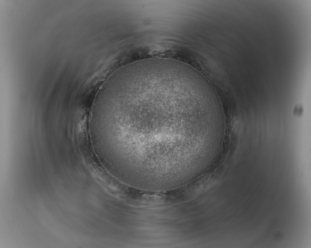 X0000111940914200907271409