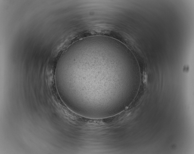 X0000111940915200907271409