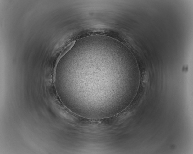 X0000111940916200907271409