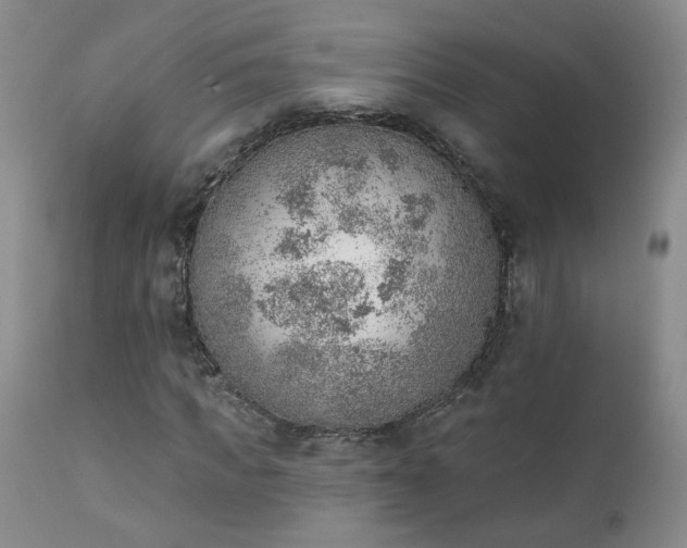 X0000111940917200907271409