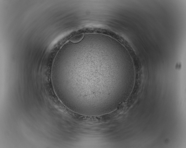 X0000111940919200907271409