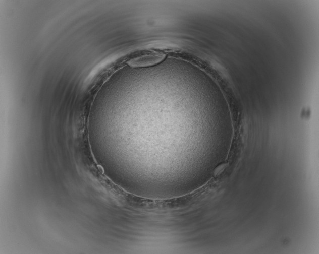 X0000111940920200907271409