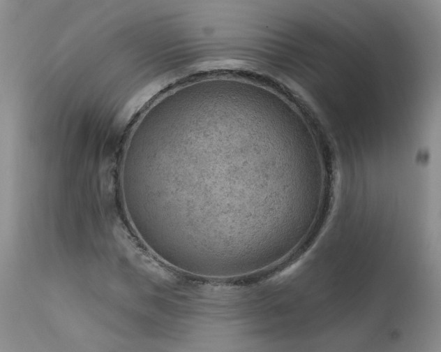 X0000111940921200907271409