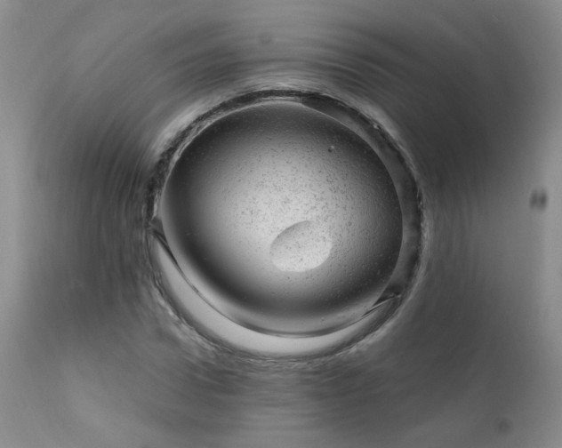 X0000111940922200907271409