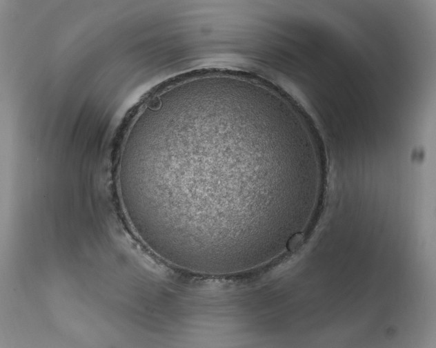 X0000111940923200907271409