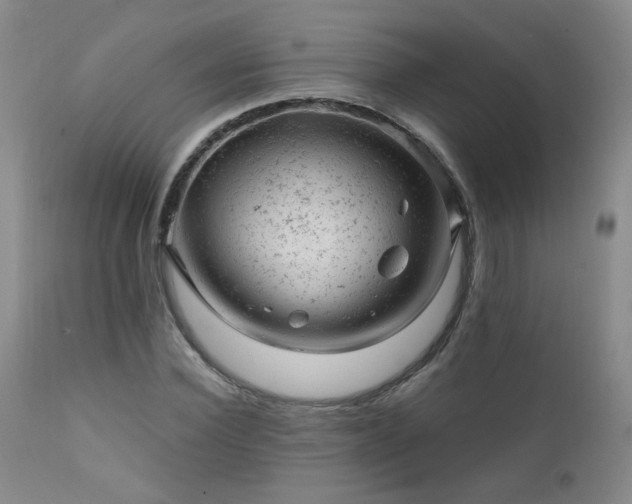 X0000111940924200907271409