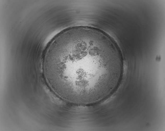 X0000111940925200907271410