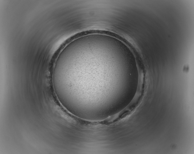 X0000111940926200907271410