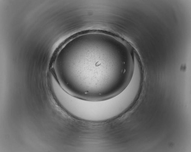 X0000111940928200907271410