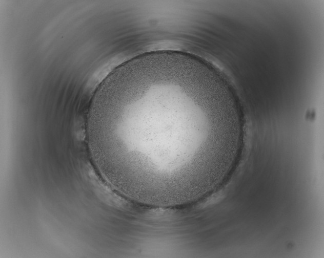 X0000111940929200907271410