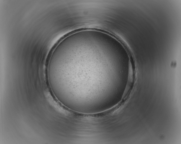 X0000111940932200907271410