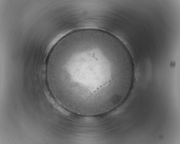 X0000111940933200907271410