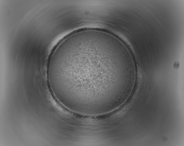 X0000111940935200907271410