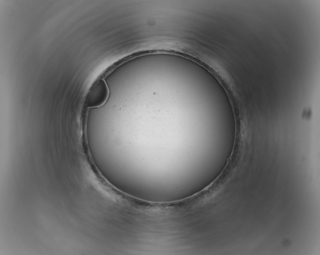 X0000111940936200907271410