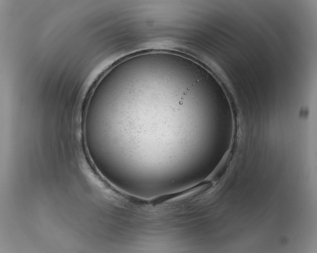 X0000111940939200907271410