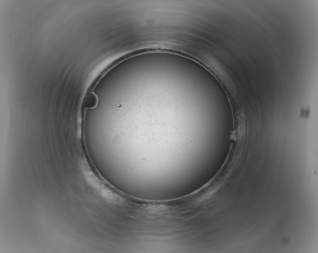 X0000111940940200907271410