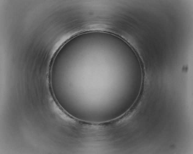 X0000111940941200907271410