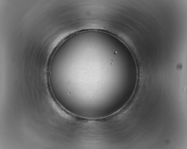 X0000111940942200907271410