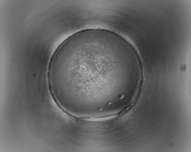 X0000111940943200907271410