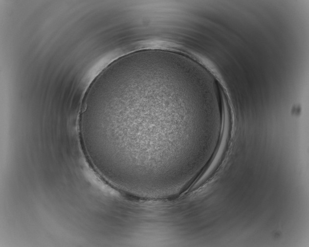 X0000111940946200907271410