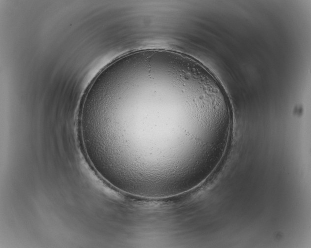 X0000111940949200907271410