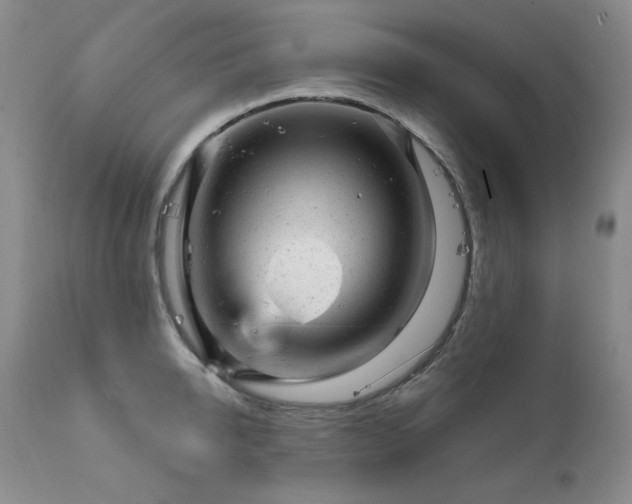 X0000111940950200907271410