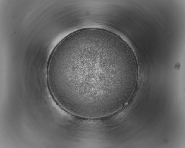 X0000111940951200907271410